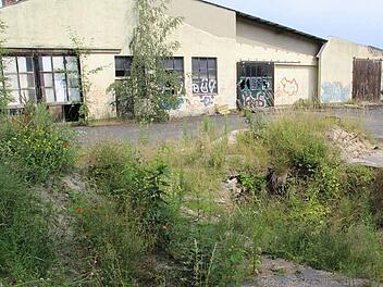 Die Industrie-Brache auf dem ehemaligen ATS-Bau-Gelände ist endlich Geschichte. Foto: Archiv/ Matthias Beetz