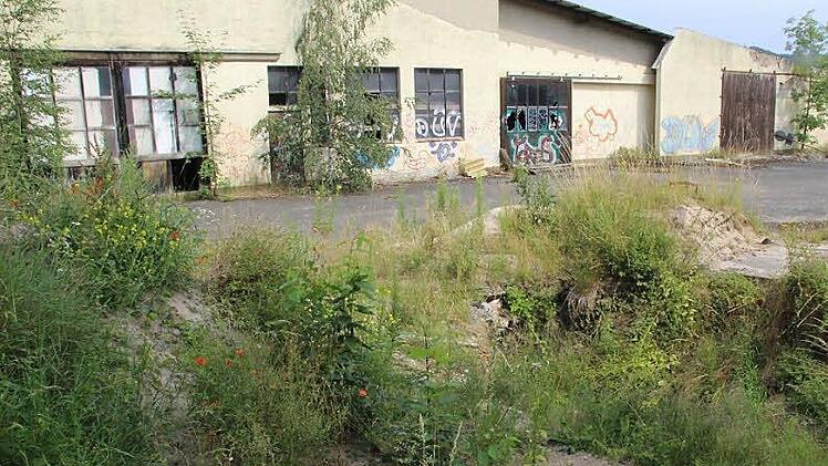 Die Industrie-Brache auf dem ehemaligen ATS-Bau-Gelände ist endlich Geschichte. Foto: Archiv/ Matthias Beetz