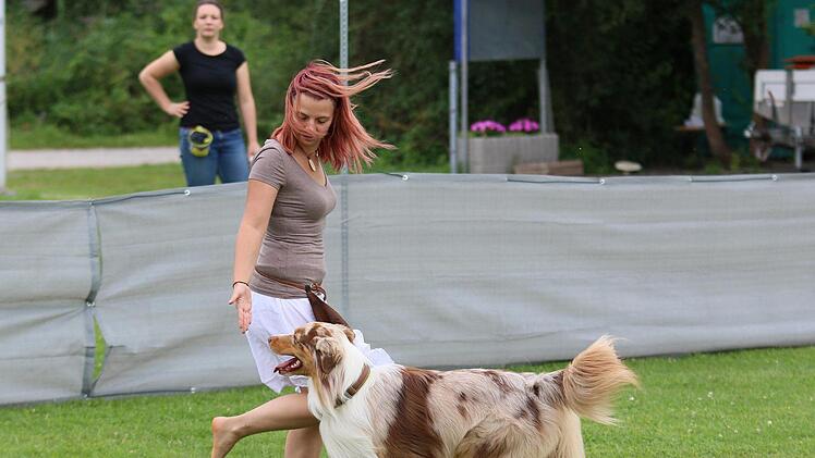 Steffi Brix (Röthlein) von den Eltmanner Hundefreunden in der Klasse "Open" mit "Shadow". Sie hatte sich das Lied "Nancy Mulligan" des englischen Songwriters Ed Sheeran ausgesucht. Seit zwei Jahren leitet Brix die "Dog Dance"-Abteilung.