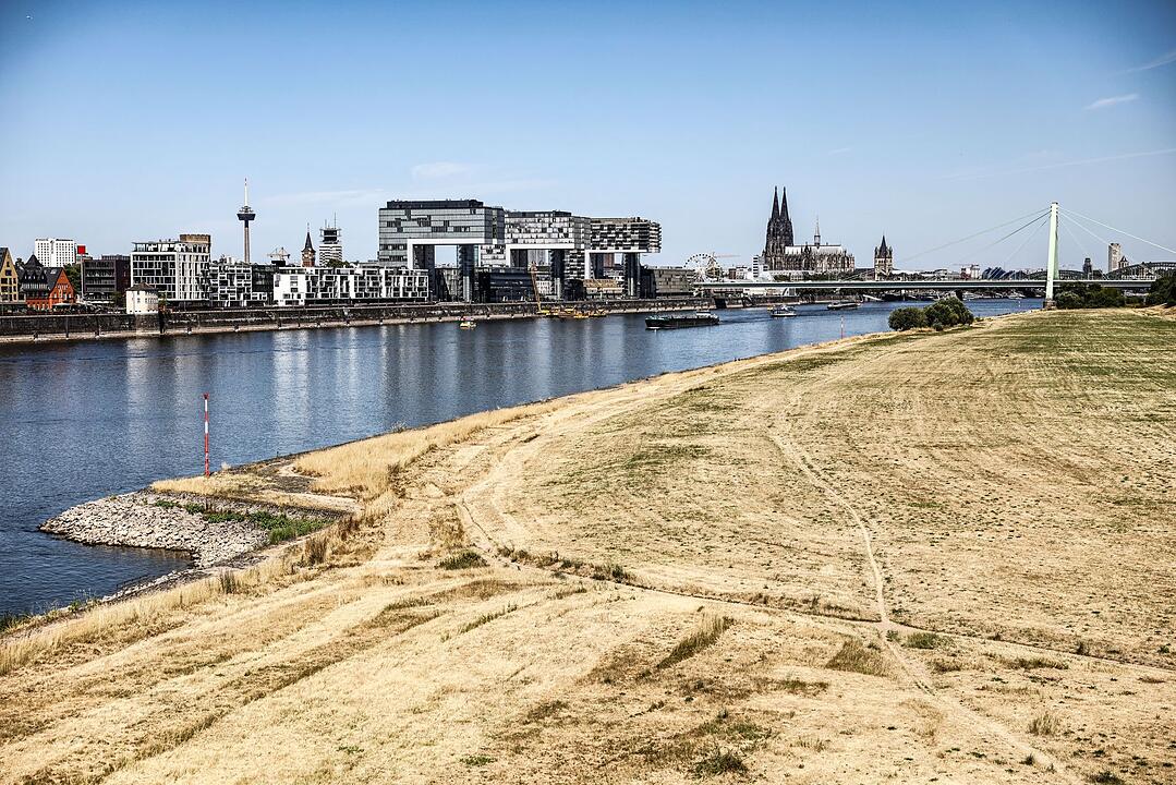 Niedrigwasser am Rhein in K&ouml;ln