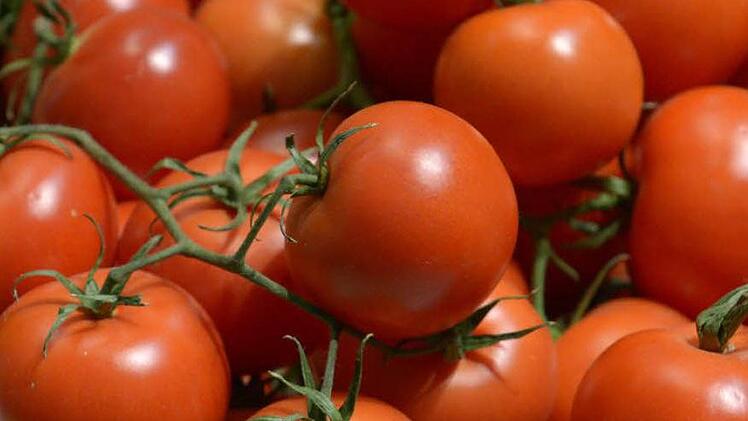 Bei Tomaten sollte die Aufzucht der Jungpflanzen nicht zu früh erfolgen. Beim Pflanztermin im Mai kommt es nicht auf die Länge der Pflanzen an. Foto: dpa