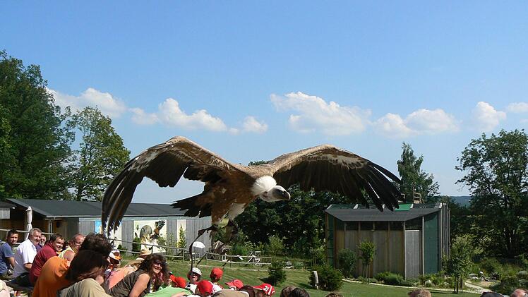 Greifvogelpark Katharinenberg