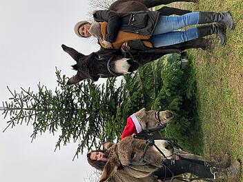 Warten auf neue Bekanntschaften, aus denen auch Leidenschaften werden könnten: die Esel Luna, Filou und Beau mit Ana (links) und Lisa mit ihrem kleinen Sohn Bruno.