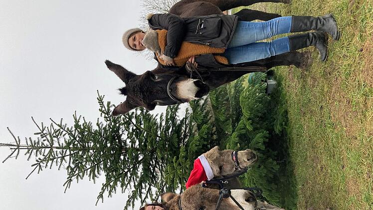 Warten auf neue Bekanntschaften, aus denen auch Leidenschaften werden könnten: die Esel Luna, Filou und Beau mit Ana (links) und Lisa mit ihrem kleinen Sohn Bruno.