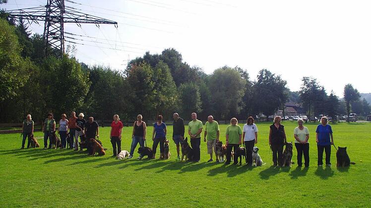 Das Teilnehmerfeld Foto: Heike Schülein