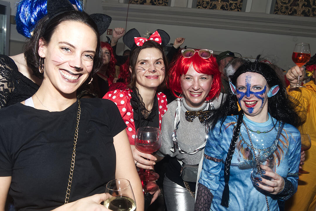 Fürth feiert Fasching