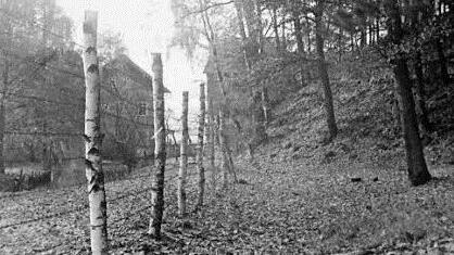 Der Stacheldrahtzaun zwischen Bayern und Thüringen 1953 in Bergmühle bei Neustadt. So sah die Zonengrenze in den ersten Jahren aus.