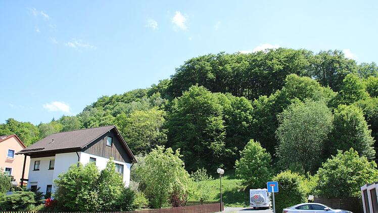 An diesem Hang sollen fünf neue Mehrfamilienhäuser entstehen.Foto: Katrin Geyer