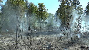 Waldbrand im Kreis Haßberge: Feuerwehr kämpft mit Großaufgebot gegen die Flammen
