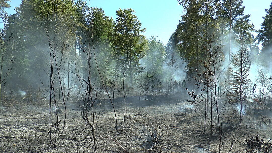 Waldbrand im Kreis Haßberge: Feuerwehr kämpft mit Großaufgebot gegen die Flammen