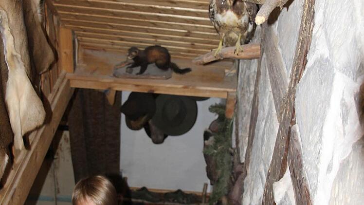 Auch das Treppenhaus ist gut bestückt mit präparierten Tieren. Foto: Helmut Will