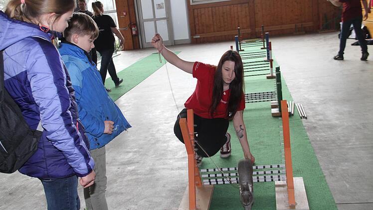 "Kaninhop" nennt sich eine Sportart, die den Bewegungsdrang der Tier entspricht.Gerda Völk