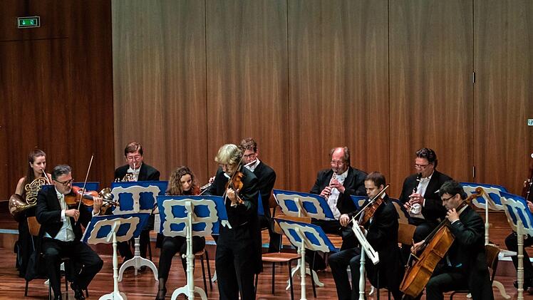 Impressionen vom Auftritt des Alt-Wiener Strauss-Ensembles unter Leitung von Ralph Kulling bei den Johann Strauss Musiktagen in CoburgFoto: Jochen Berger