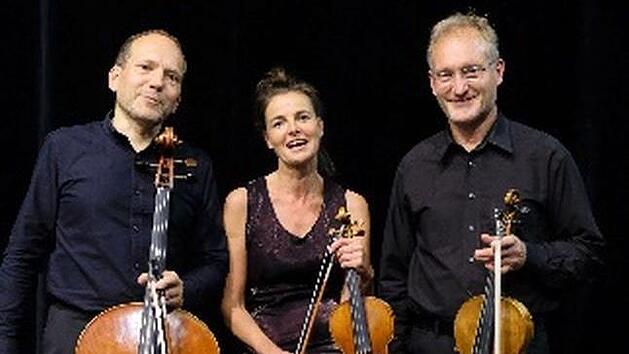 Das Trio Resonare gastiert im Staatsbad Bad Br&uuml;ckenau. Foto:  Friedhelm Petrovitsch