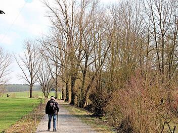 Damit ihre Wurzeln keinen Schaden anrichten, sollen die Bäume am alten Kanal zwischen dem Regenüberlaufbecken und dem neugebauten Anschlusssammler gefällt werden. Doch im Landschaftsplanung sind sie als Landschaftselemente aufgeführt. Foto: Dieter Britz