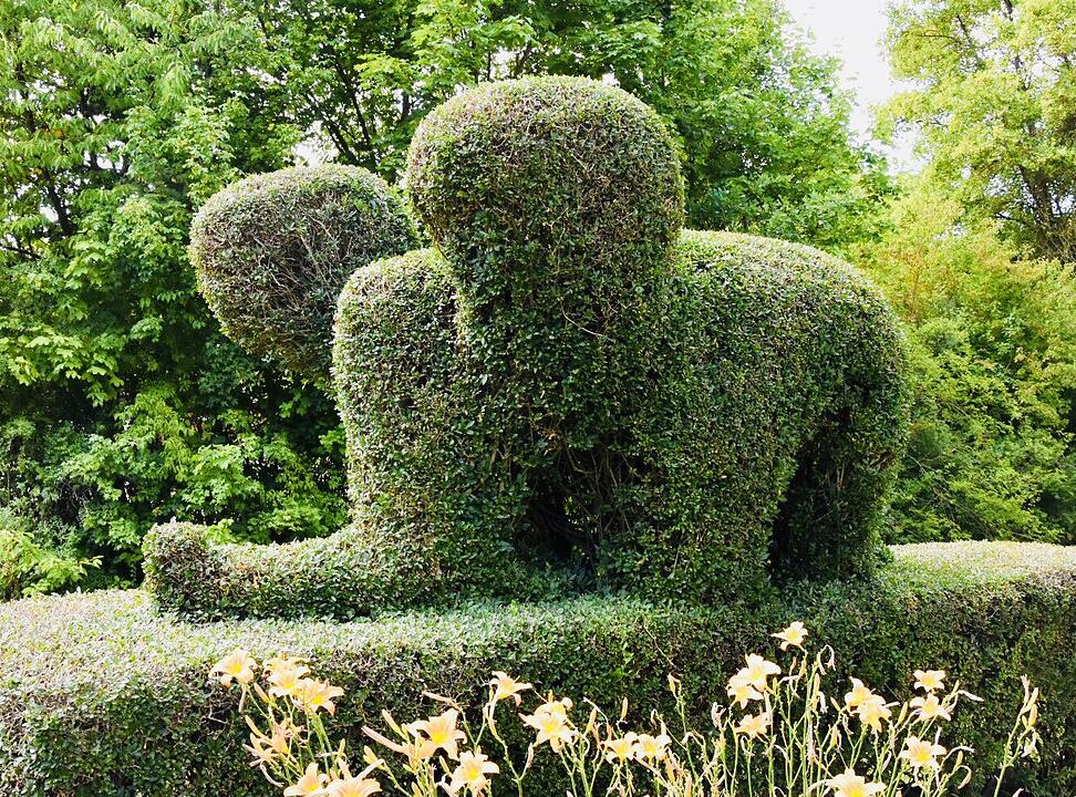 Sommer in Franken: Die schönsten Fotos aus Haßfurt und Umgebung