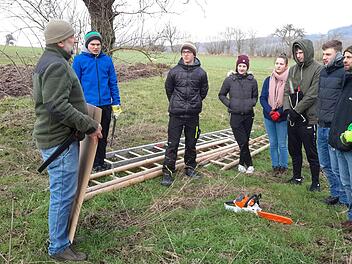Zum praktischen Teil des Projekt-Seminars trafen sich Schülerinnen und Schüler des Franz-Miltenberger-Gymnasiums zusammen mit ihrem Lehrer Sebastian Knüttel (Zweiter von rechts) auf einer Streuobstwiese bei Breitenbach. Als Experten, der interessante Tipps gab,  hatte die Gruppe Robert Hildmann (ganz links) gewinnen können. Foto: Rolf Pralle