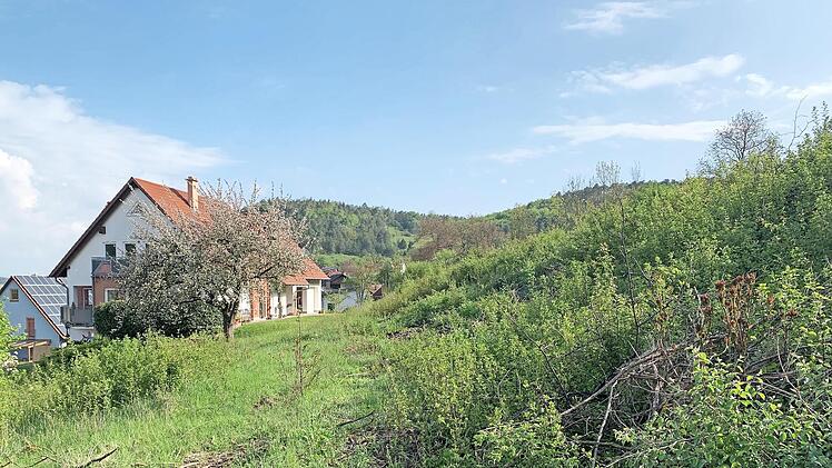 Viel zu steil ist der Hang, wo eigentlich der zweite Teil des Baugebiets in Burghausen entstehen sollte. Jetzt ist das Thema endgültig vom Tisch.