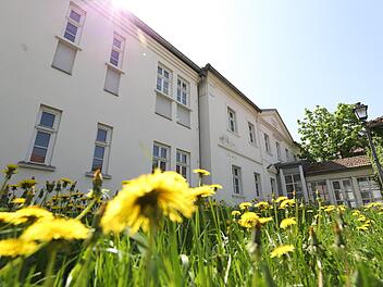 Der Innenhof des leer stehenden Bürgerspitals ist ein idyllischer Ort. Werden schon 2019 Senioren auf dem Weg zu ihren Erledigungen in der Innenstadt am  derzeit ganz ungestört vor sich hinblühenden   Löwenzahn  vorbeispazieren?  Foto: Marian Hamacher