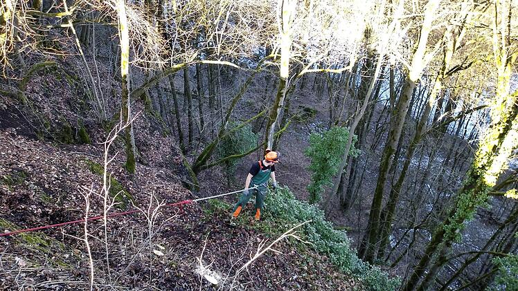Die Arbeit an den steilen Hängern - hier an einem Grundstück, das der Bergwacht-Bereitschaft Kulmbach-Obermain gehört - erfordert gründliche Sicherungsmaßnahmen.  Foto: Bergwacht Kulmbach-Obermain
