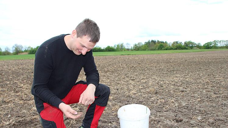 Landwirt Johannes Funke &uuml;berpr&uuml;ft die Erde seiner Bl&uuml;hfl&auml;che. Mirjam Stumpf