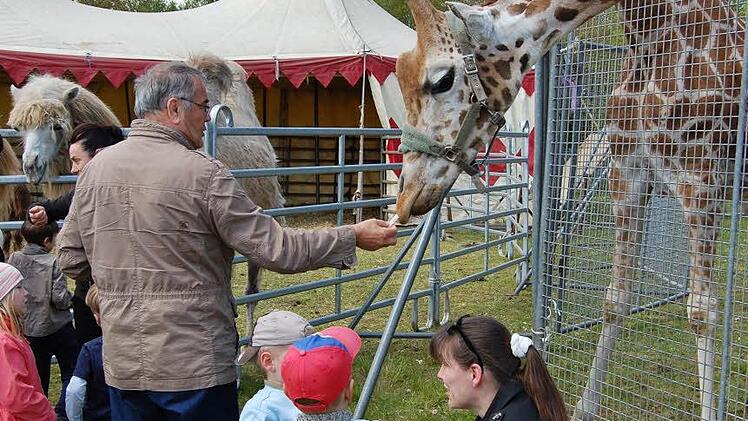 Zirkus Voyage in Bad Kissingen 2016. Foto: Sigismund von Dobschütz