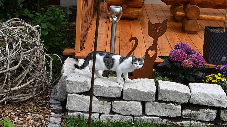 Foto: Ronald Rinklef