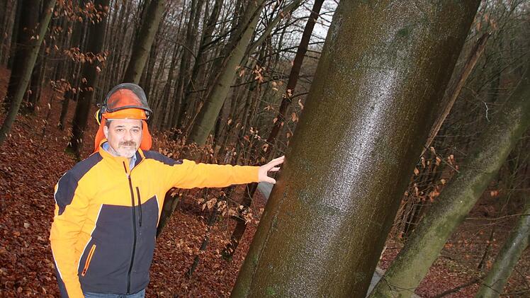 Michael Bienlein schlägt das Holz, das er verarbeiten möchte, zu jenen Zeiten ein, die der forstliche Mondholzkalender dafür empfiehlt.Matthias Einwag