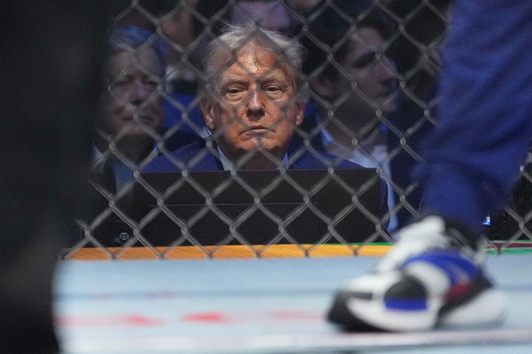 UFC Freedom 250