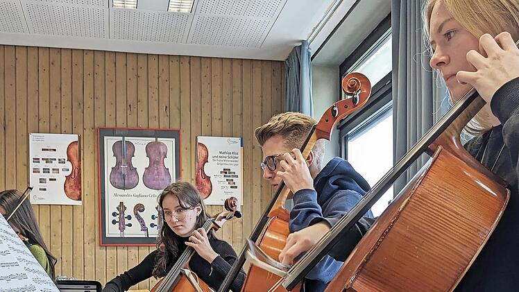 Auch das neugegründete Cello-Orchester tritt beim Konzert des Herder-Gymnasiums Forchheim auf.
