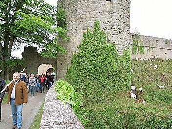 Zur Trimburg soll künftig ein weiterer Weg führen.  Foto: Arkadius Guzy/ Archiv