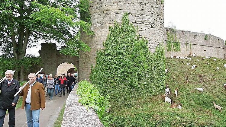 Zur Trimburg soll künftig ein weiterer Weg führen.  Foto: Arkadius Guzy/ Archiv