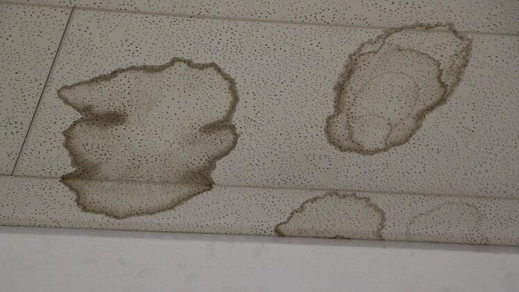 Wasserflecken an der Decke zeugen von einem Wasserschaden. Foto: Ulrike Müller