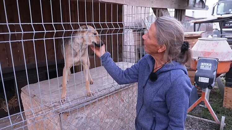 Tierschützerin Sabine kümmert sich in Rumänien um rund 180 Hunde.