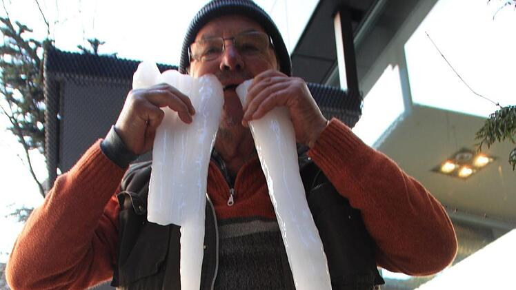 Friedrich Lechner spielte für das Foto das Eiszapfen-Walross. Foto: Christian Bauriedel