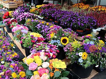 Der Herbst entfaltet seine ganze Blütenpracht.   Foto: Richard Sänger
