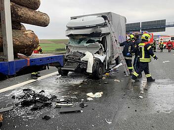In mit Baumst&auml;mmen beladenen Laster gekracht: Fahrerkabine komplett zerst&ouml;rt