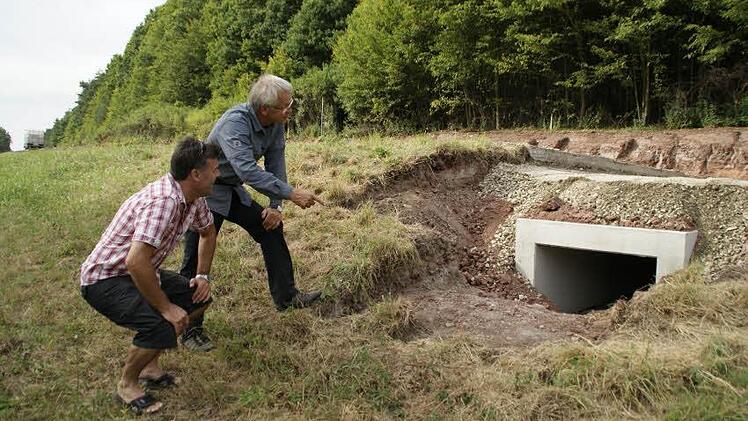 Die ersten eingebauten Amphibientunnel untersuchen hier Bürgermeister Thomas Sechser und Förster Klaus Schulz.