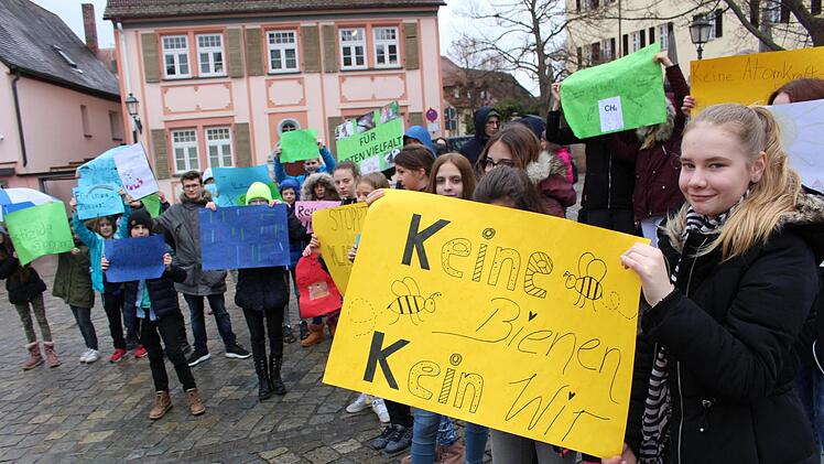 Ihre Plakate waren bunt, ihre Themen verschieden. Doch einig waren die Schüler der Montessori-Schule sich in einem Aspekt: Es muss sich etwas ändern, man muss die Umwelt schützen!  Fotos: Yannick Hupfer