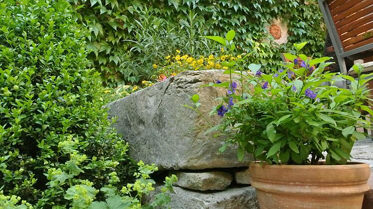 Grüne Harmonie bei den Erlweins