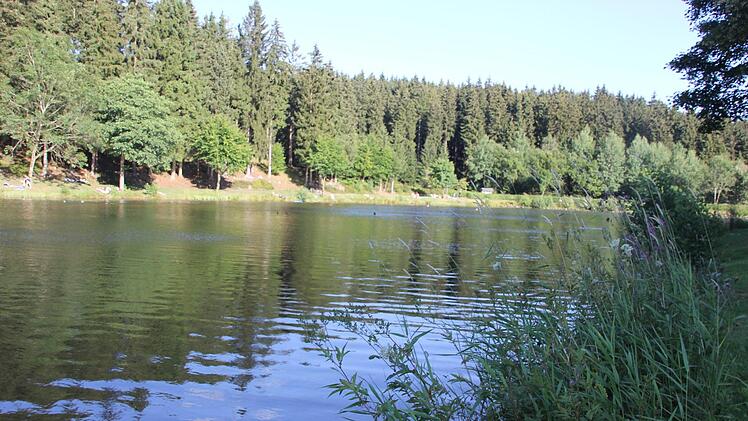 Am Ufer des Sees sorgen hohe Gräser für idyllische Bilder. Foto: Andreas Schmitt