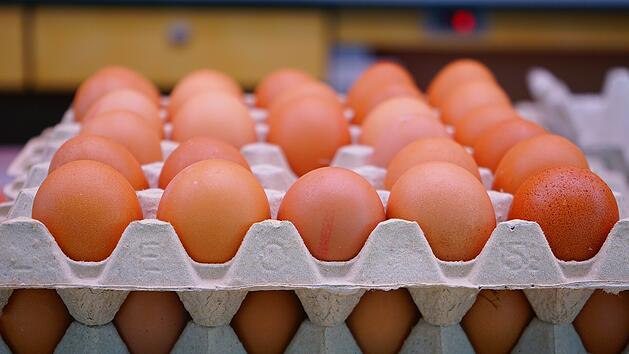Eier lagern: Warum werden sie im Supermarkt nicht gekühlt?