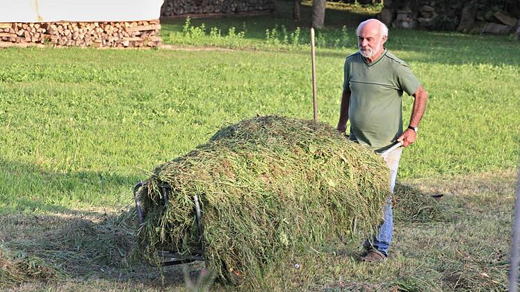 Kleegras von Nachbar Pauls Wiesedient als Futter die Kleintiere von Rudolf Schmitt (Foto).