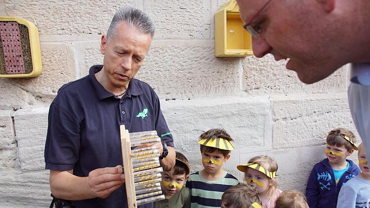 Einer der Nistblöcke am Kindergarten Prölsdorf kann zu Anschauungszwecken geöffnet werden - und er ist tatsächlich schon mit Pollen und Eiern bestückt, wie Thomas Köhler zeigte.Sabine Weinbeer