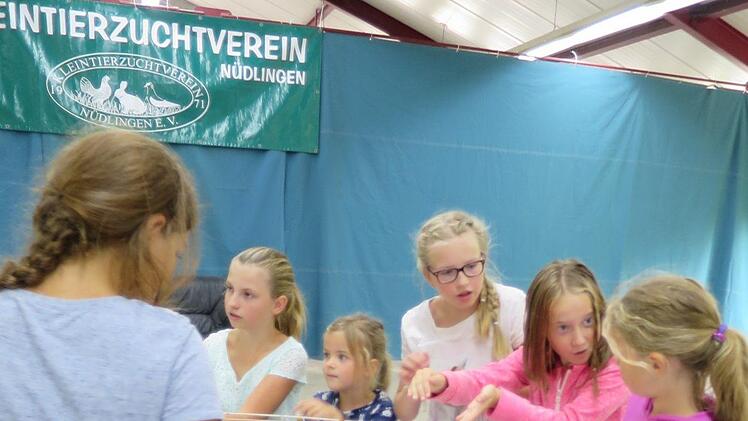 Eindrücke vom Ferienprogramm der Nüdlinger Kleintierzüchter.   Foto: Vanessa Gessner