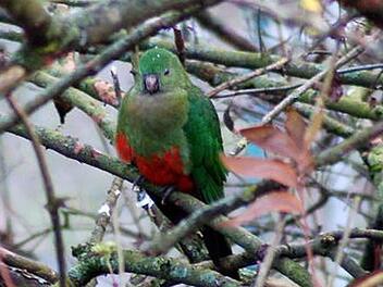 Freitagnachmittag: Da sitzt er ja!