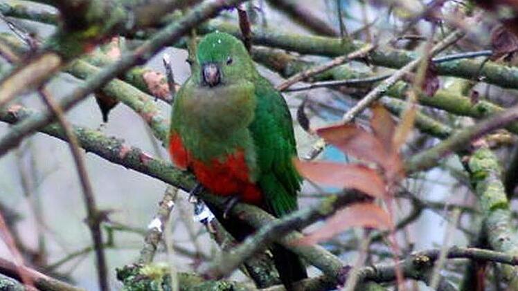 Freitagnachmittag: Da sitzt er ja!