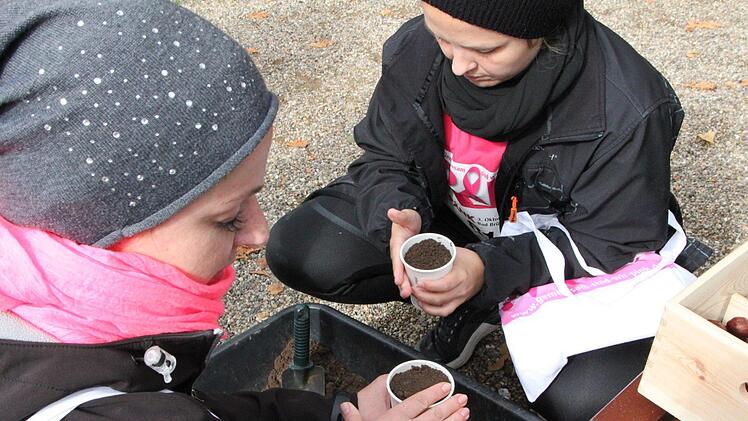 Pinklauf 2019 in Bad Brückenau Foto: Ulrike Müller