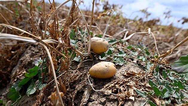 Wetter in Nordrhein-Westfalen - Landwirtschaft