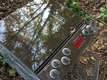 Würzburg: "Wald Echo" - Umweltstation lockt mit neuer Ausstellung